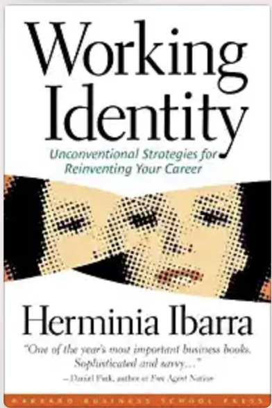 Notes on “Working Identity”